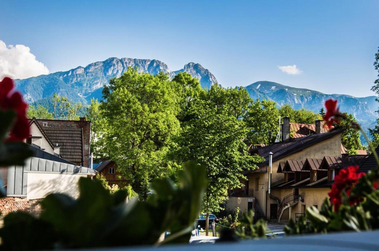 Willa Arkadia Zakopane Exteriör bild